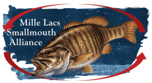 bassalliance
